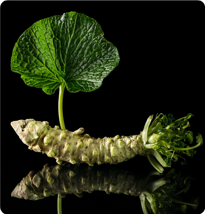 Giải pháp Smart Bio Farm cho thực phẩm sinh học chất lượng cao